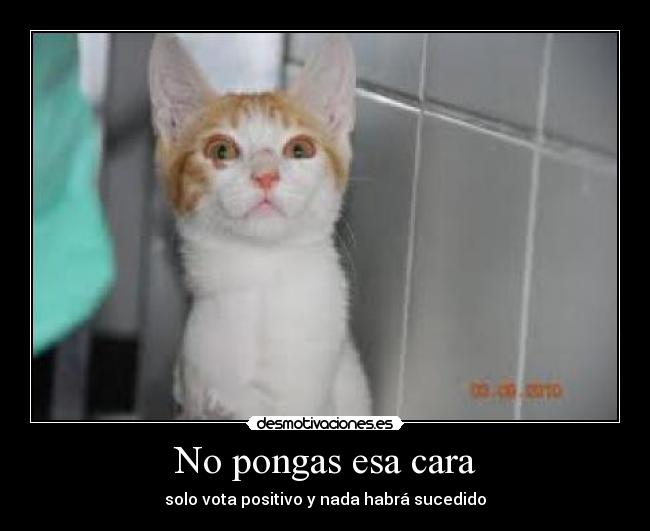 carteles shhhh desmotivaciones