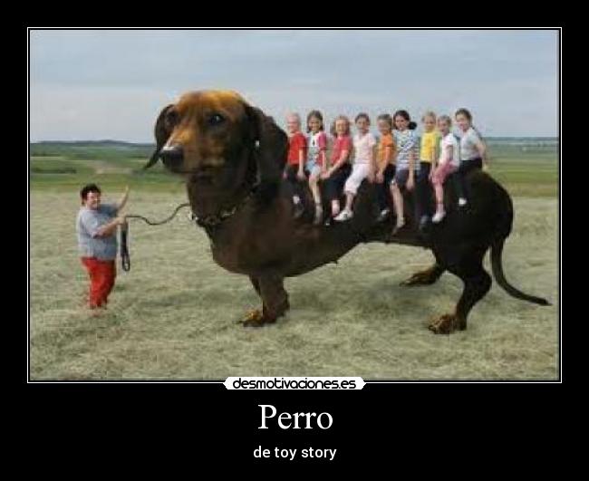 carteles gdhg desmotivaciones