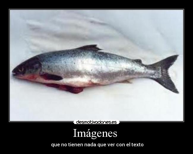 carteles imagenes desmotivaciones