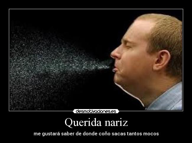 Querida nariz - me gustará saber de donde coño sacas tantos mocos