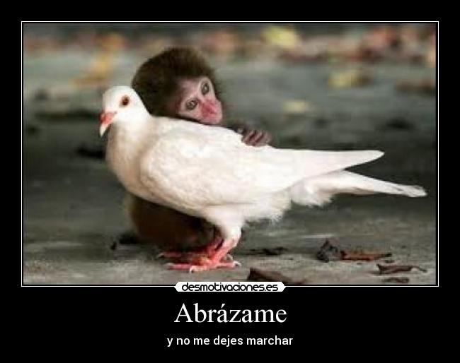 Abrázame - y no me dejes marchar