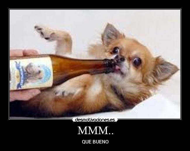 MMM.. - QUE BUENO