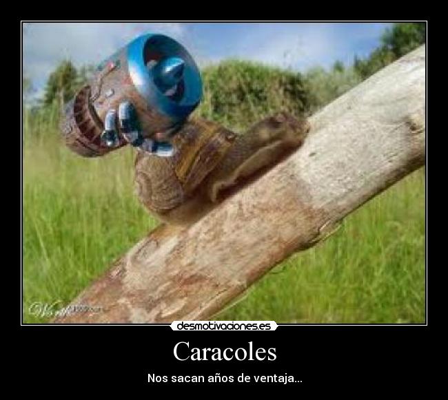 Caracoles - 
