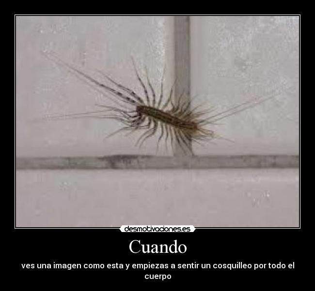 Cuando - ves una imagen como esta y empiezas a sentir un cosquilleo por todo el cuerpo