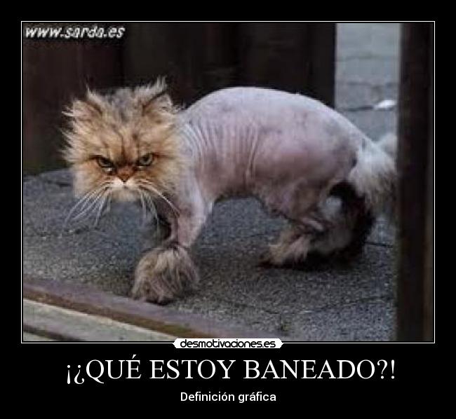 ¡¿QUÉ ESTOY BANEADO?! - 