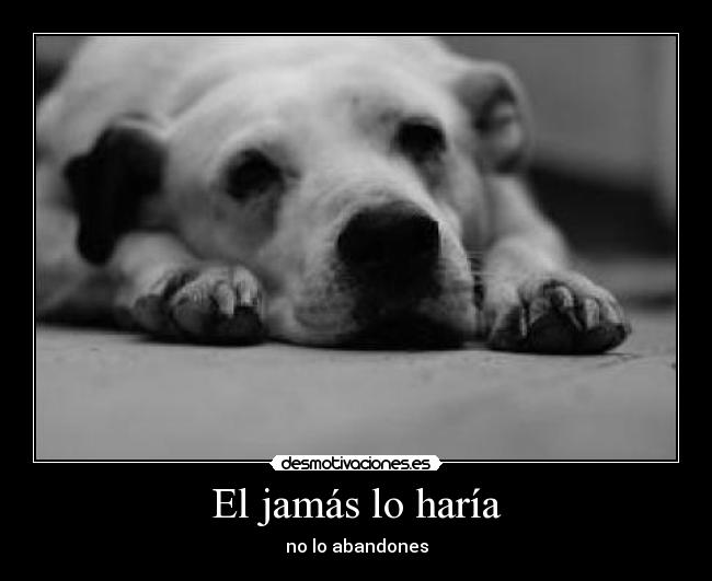 El jamás lo haría - no lo abandones