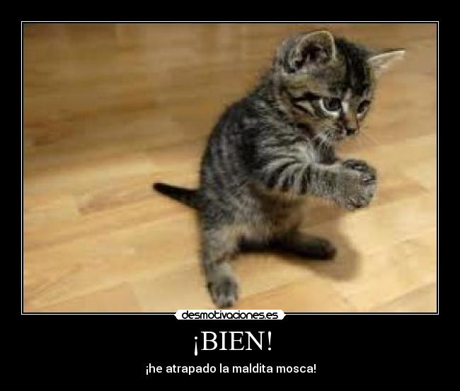 ¡BIEN! -