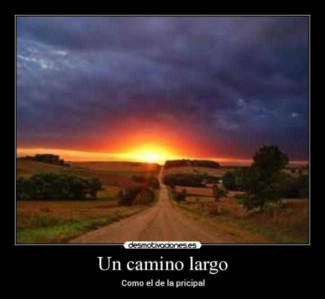 carteles sariitaamigiita desmotivaciones