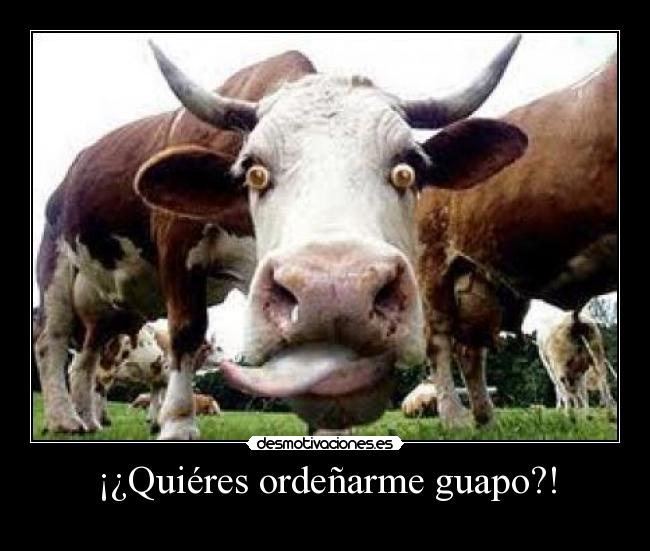 carteles quieres desmotivaciones