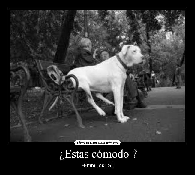 ¿Estas cómodo ? - -Emm.. ss.. Si!