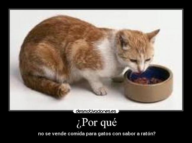 ¿Por qué -  no se vende comida para gatos con sabor a ratón?