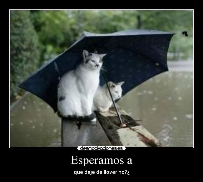 Esperamos a - que deje de llover no?¿