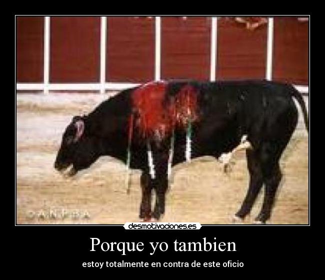 Porque yo tambien -