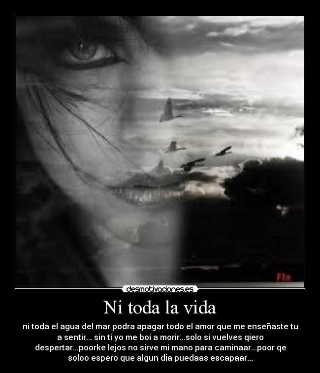 Ni toda la vida - ni toda el agua del mar podra apagar todo el amor que me enseñaste tu
a sentir... sin ti yo me boi a morir...solo si vuelves qiero
despertar...poorke lejos no sirve mi mano para caminaar...poor qe
soloo espero que algun dia puedaas escapaar...