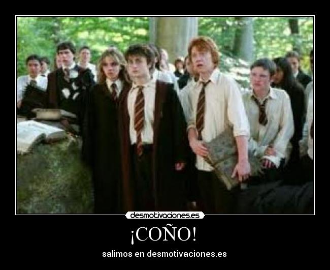 ¡COÑO! - salimos en desmotivaciones.es
