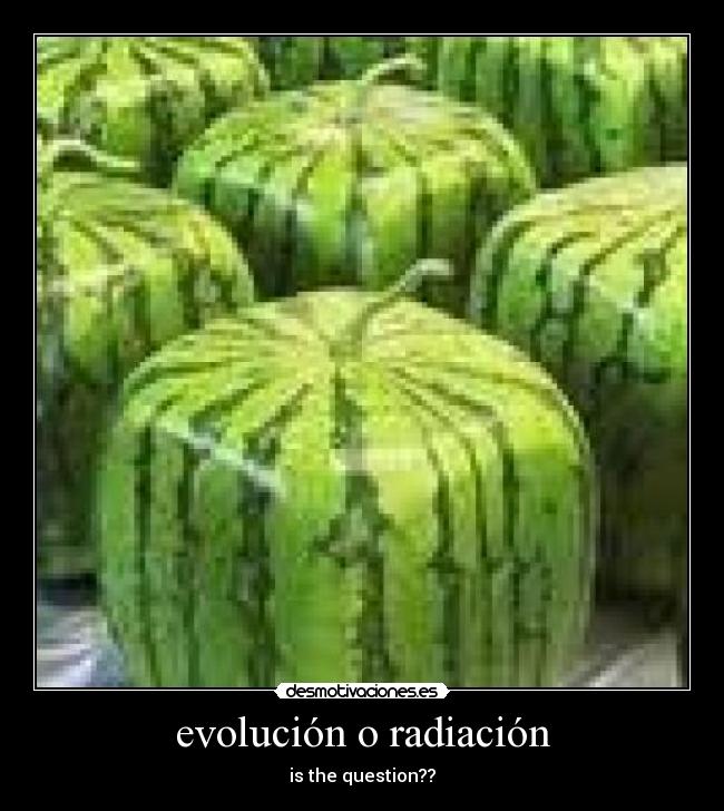 evolución o radiación - 
