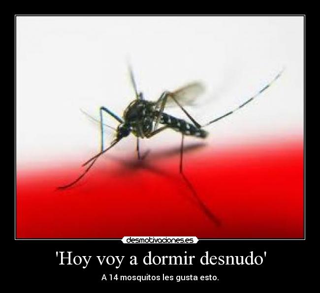 Hoy voy a dormir desnudo - A 14 mosquitos les gusta esto.