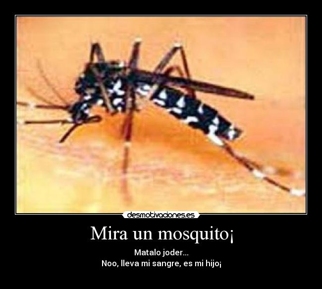 Mira un mosquito¡ - 