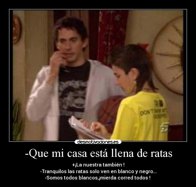 -Que mi casa está llena de ratas -