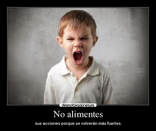 No alimentes - 