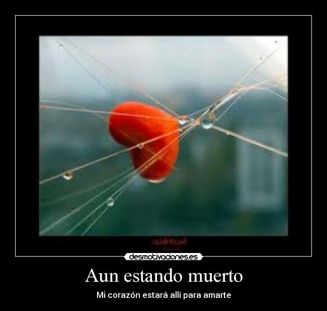 Aun estando muerto - Mi corazón estará allí para amarte