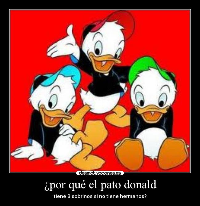 ¿por qué el pato donald -