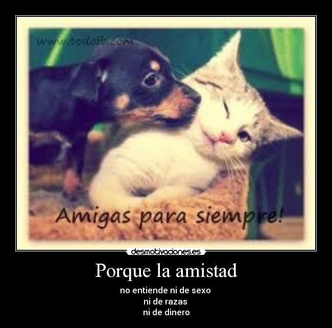 Porque la amistad -