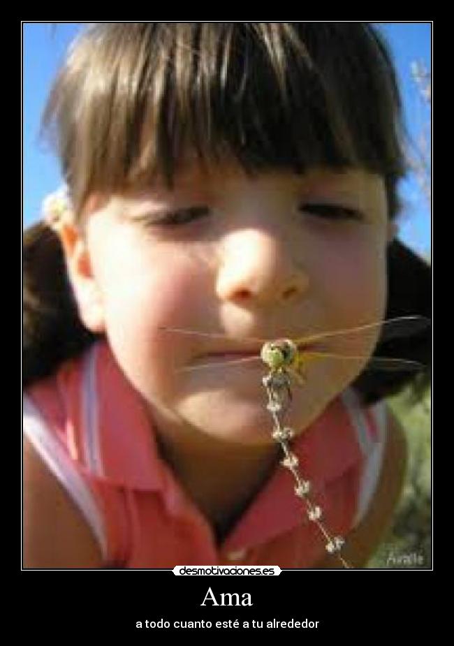 Ama - a todo cuanto esté a tu alrededor