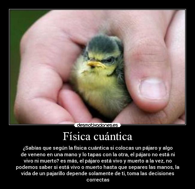 carteles puntos negros blancos raza efectos cosas mas cosas fail desesperacion desmotivaciones