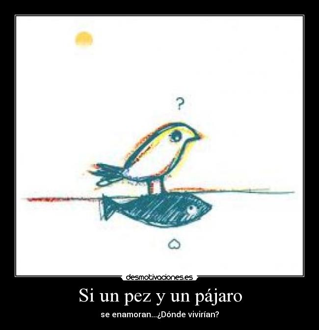 Si un pez y un pájaro -