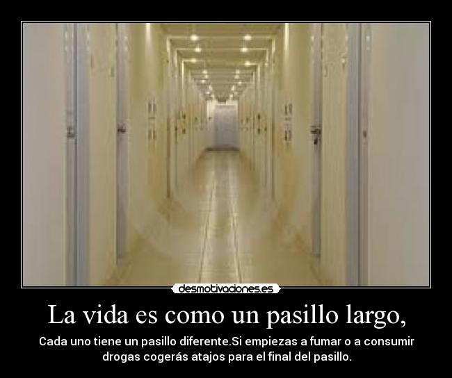 carteles vida principal desmotivaciones