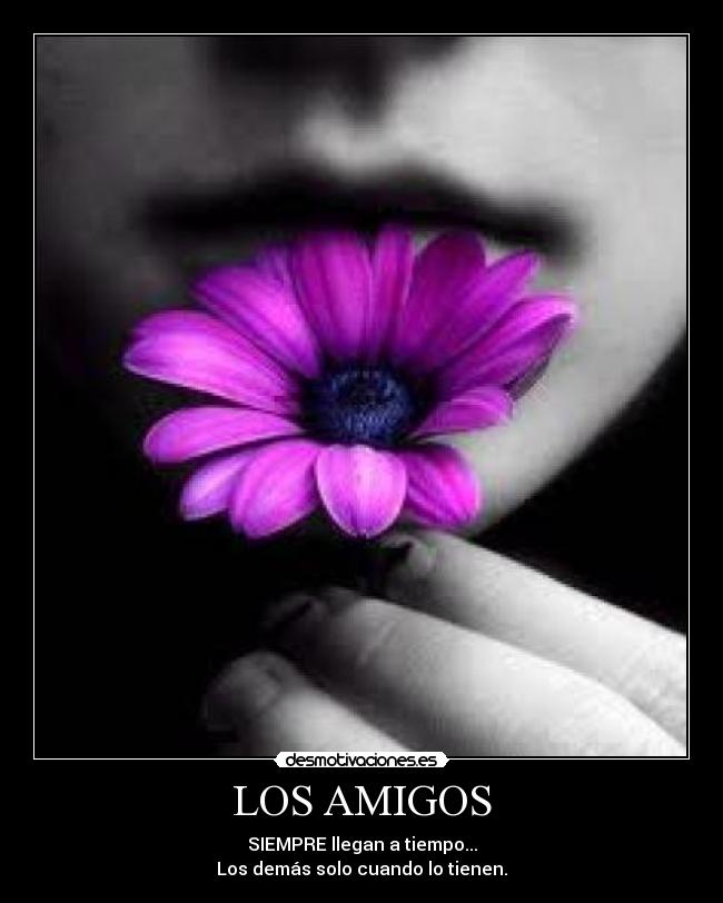 carteles amigos silviainazuma desmotivaciones