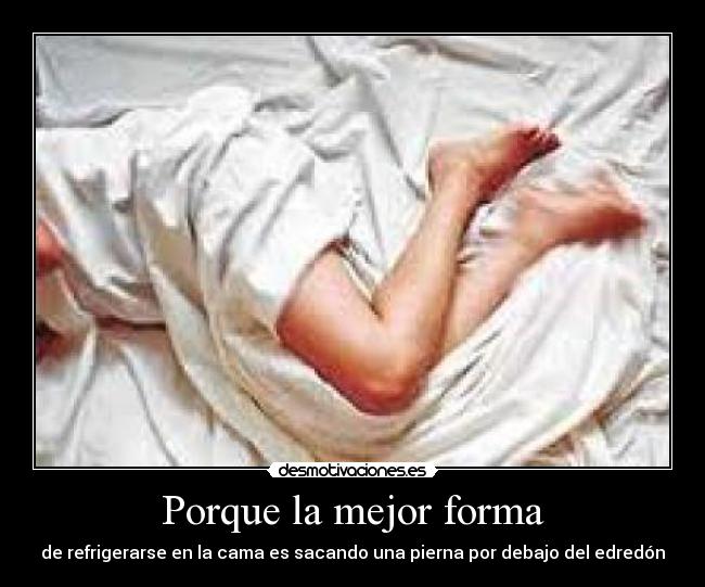 carteles forma refrigeracion cama desmotivaciones