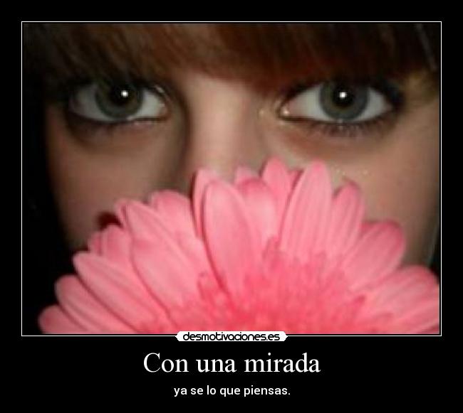 carteles mirada desmotivaciones