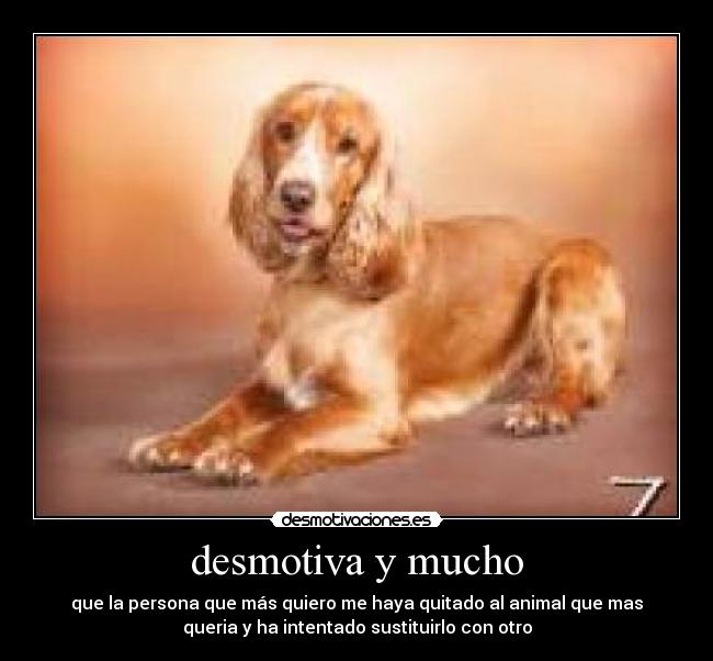 desmotiva y mucho -