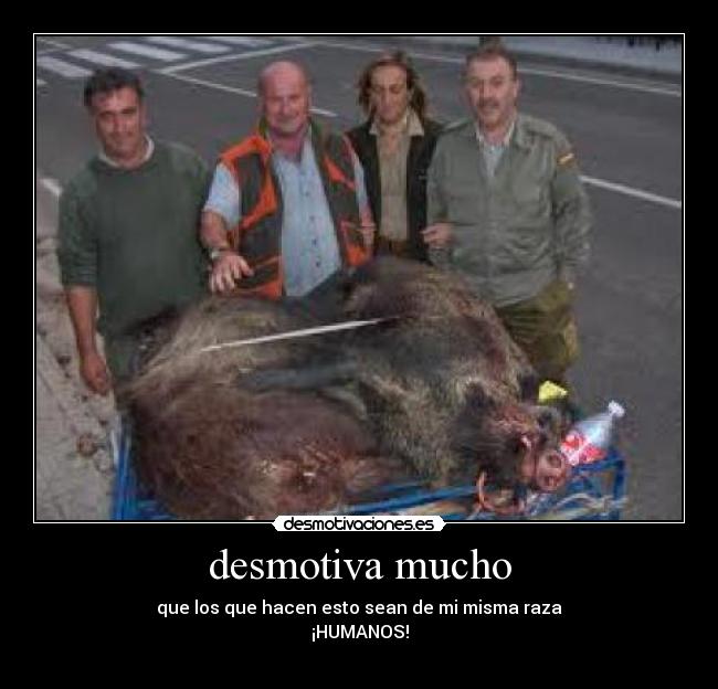 carteles caza desmotivaciones