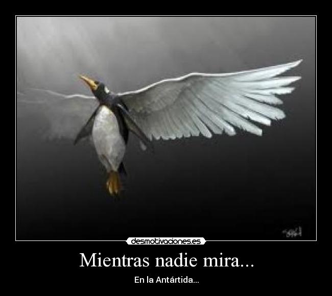 Mientras nadie mira... -