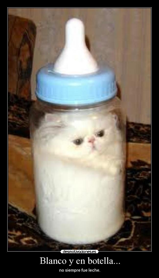 Blanco y en botella... -