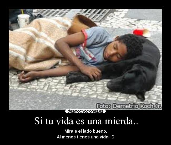 Si tu vida es una mierda.. - Mirale el lado bueno,
Al menos tienes una vida! :D