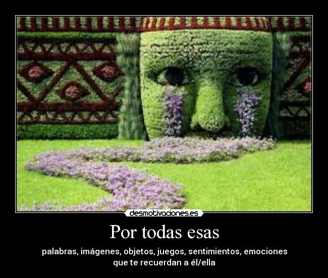 carteles palabras imagenes objetos juegos sentimientos emociones que recuerdan elella desmotivaciones