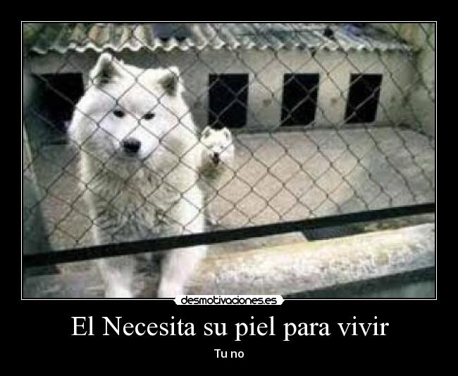 El Necesita su piel para vivir -