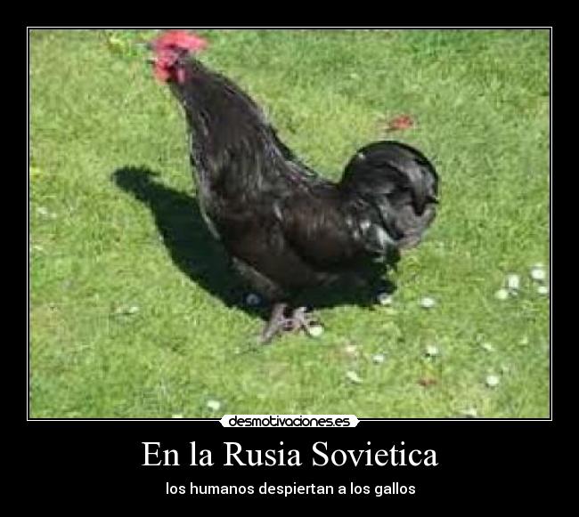 En la Rusia Sovietica -