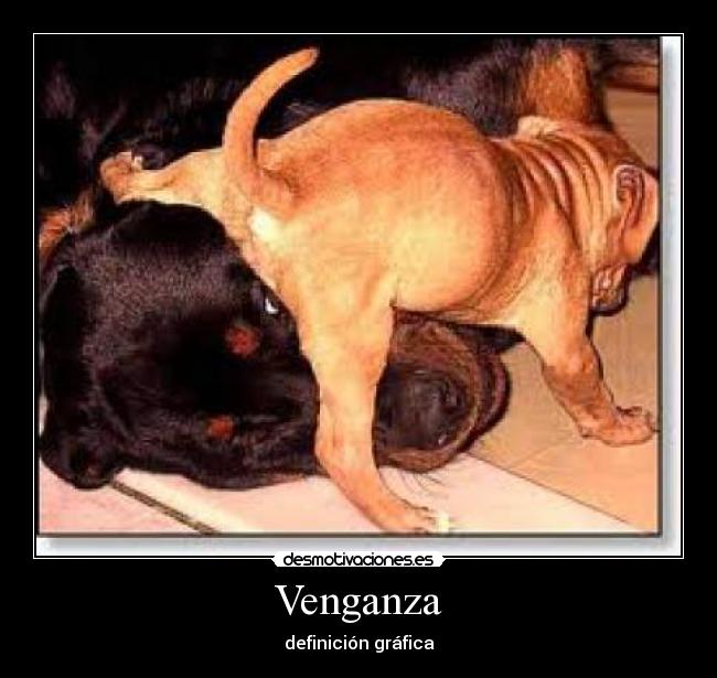 Venganza -