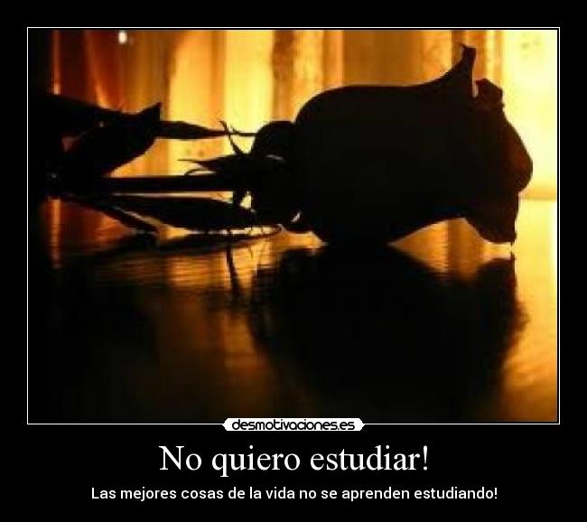 No quiero estudiar! -