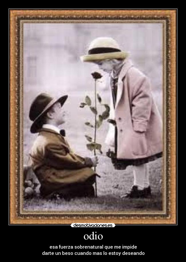 odio - 