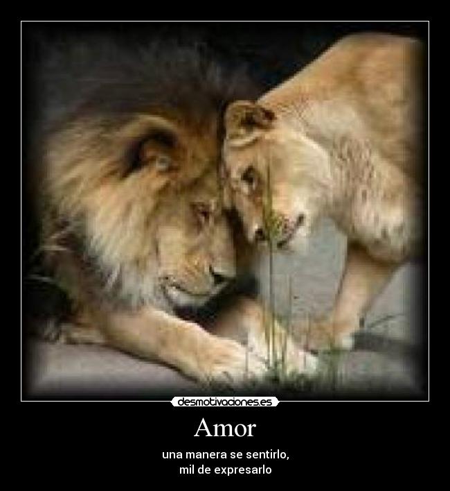 Amor - una manera se sentirlo,
mil de expresarlo