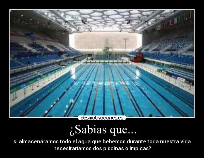 ¿Sabias que... - 