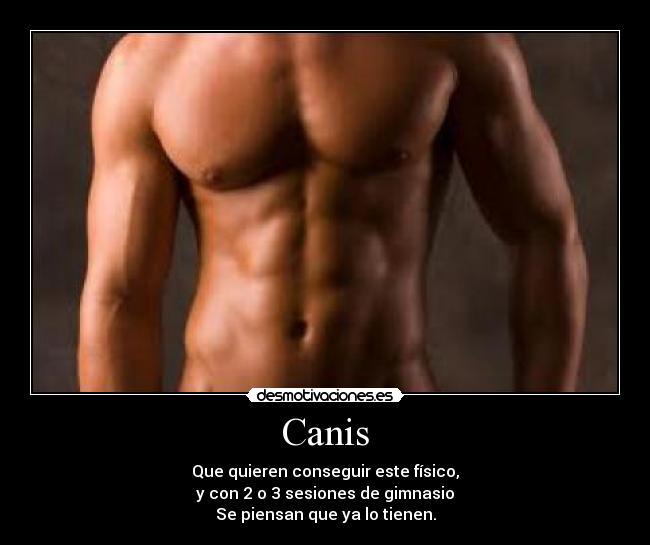 Canis - Que quieren conseguir este físico,
y con 2 o 3 sesiones de gimnasio
Se piensan que ya lo tienen.