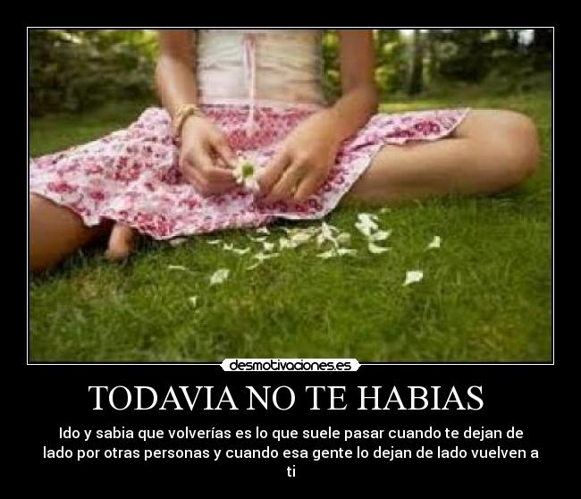 TODAVIA NO TE HABIAS - Ido y sabia que volverías es lo que suele pasar cuando te dejan de
lado por otras personas y cuando esa gente lo dejan de lado vuelven a
ti