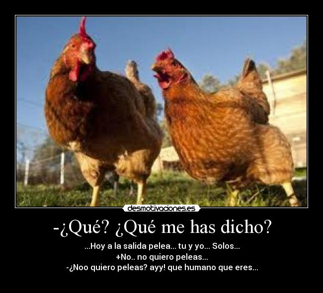 -¿Qué? ¿Qué me has dicho? - ...Hoy a la salida pelea... tu y yo... Solos...
+No.. no quiero peleas...
-¿Noo quiero peleas? ayy! que humano que eres...
